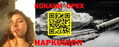 СК Севастополь