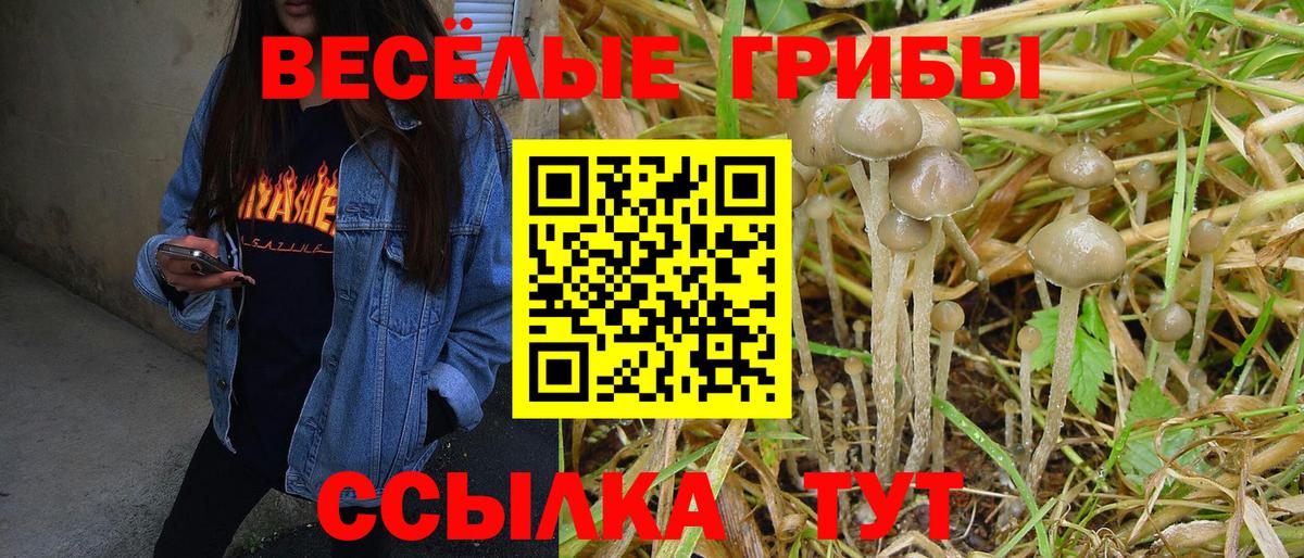 Ртищево  магазин продажи   Вход с VPN  Галлюциногенные грибы Cubensis 